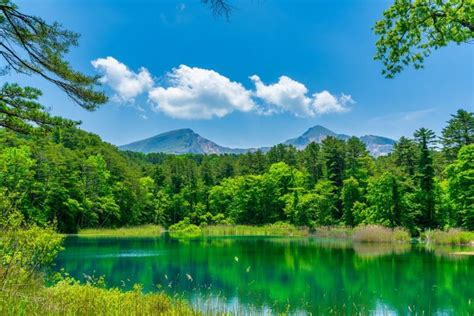 東北方|本州の1/3を占める巨大エリア・東北地方はどんなと。